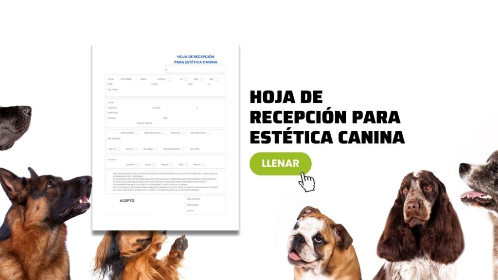 Plantilla de Calendario Escolar SEP 2024-2025 Editable [GRATIS] | didocu