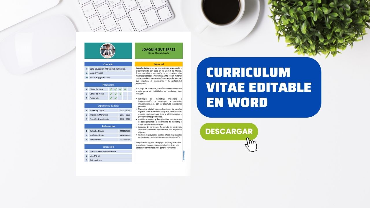 Curriculum Vitae Editable en Word [GRATIS]