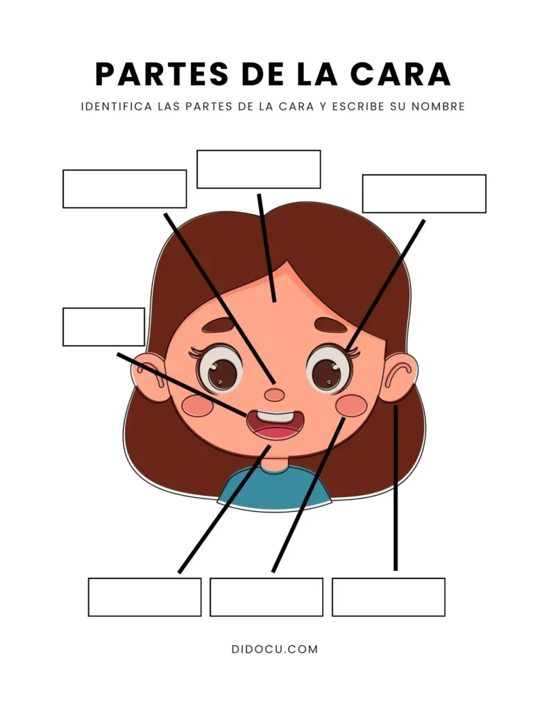 Imprimir Hoja para escribir partes de la cara