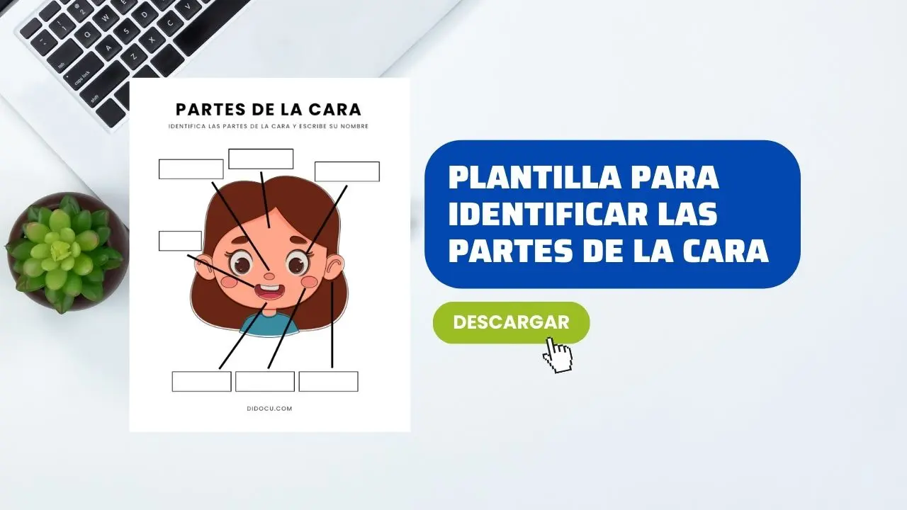 Hoja de Trabajo para Escribir las Partes de La Cara