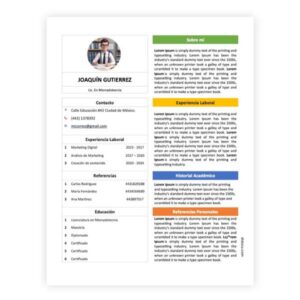 Imprimir Formato de Curriculum Vitae Vertical a Color